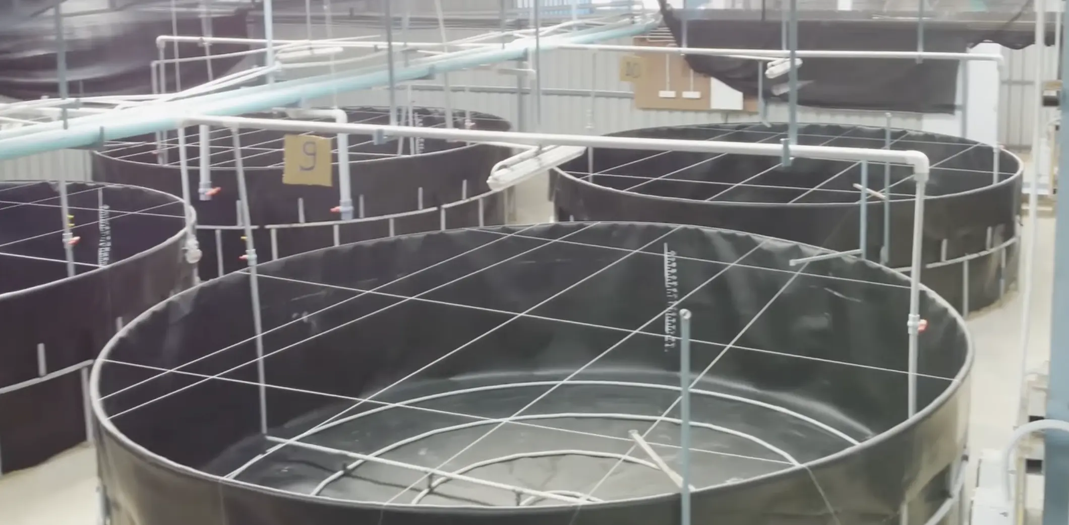 Hatchery PLRT